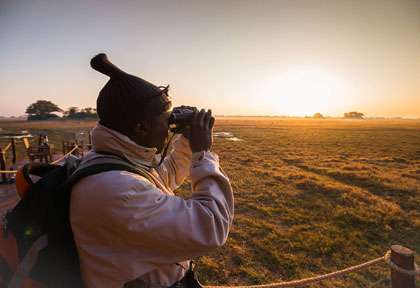 Zambie - safari du matin